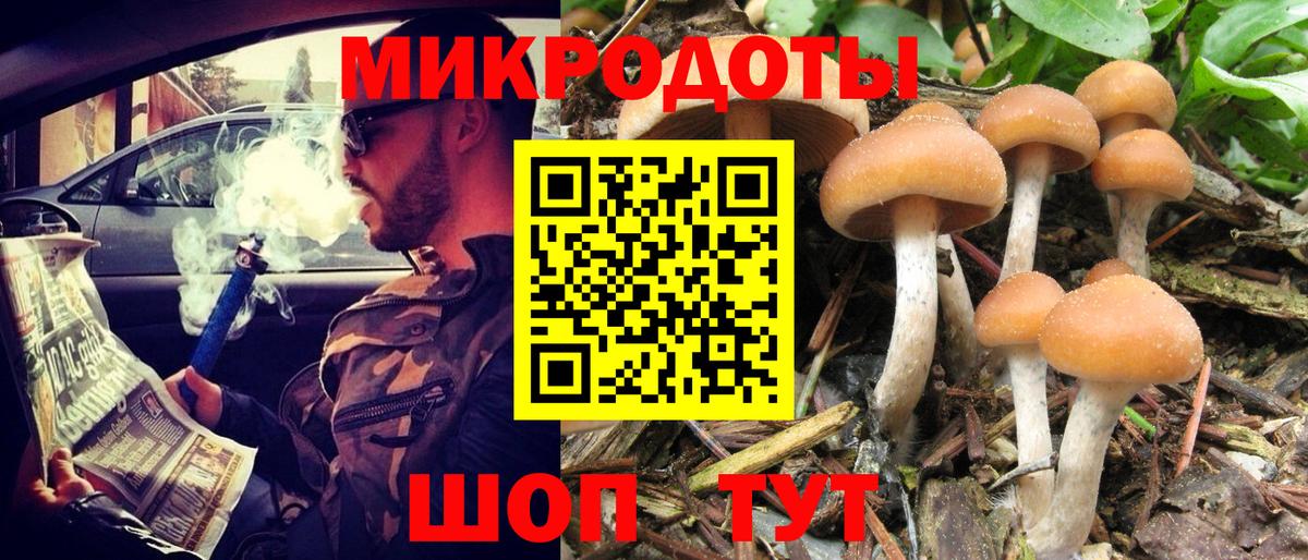 Псилоцибиновые грибы GOLDEN TEACHER Майский