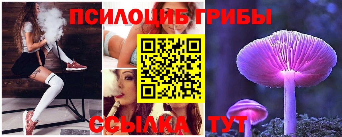 Псилоцибиновые грибы прущие грибы  Вход с VPN  Псилоцибиновые грибы Psilocybe  Майский 